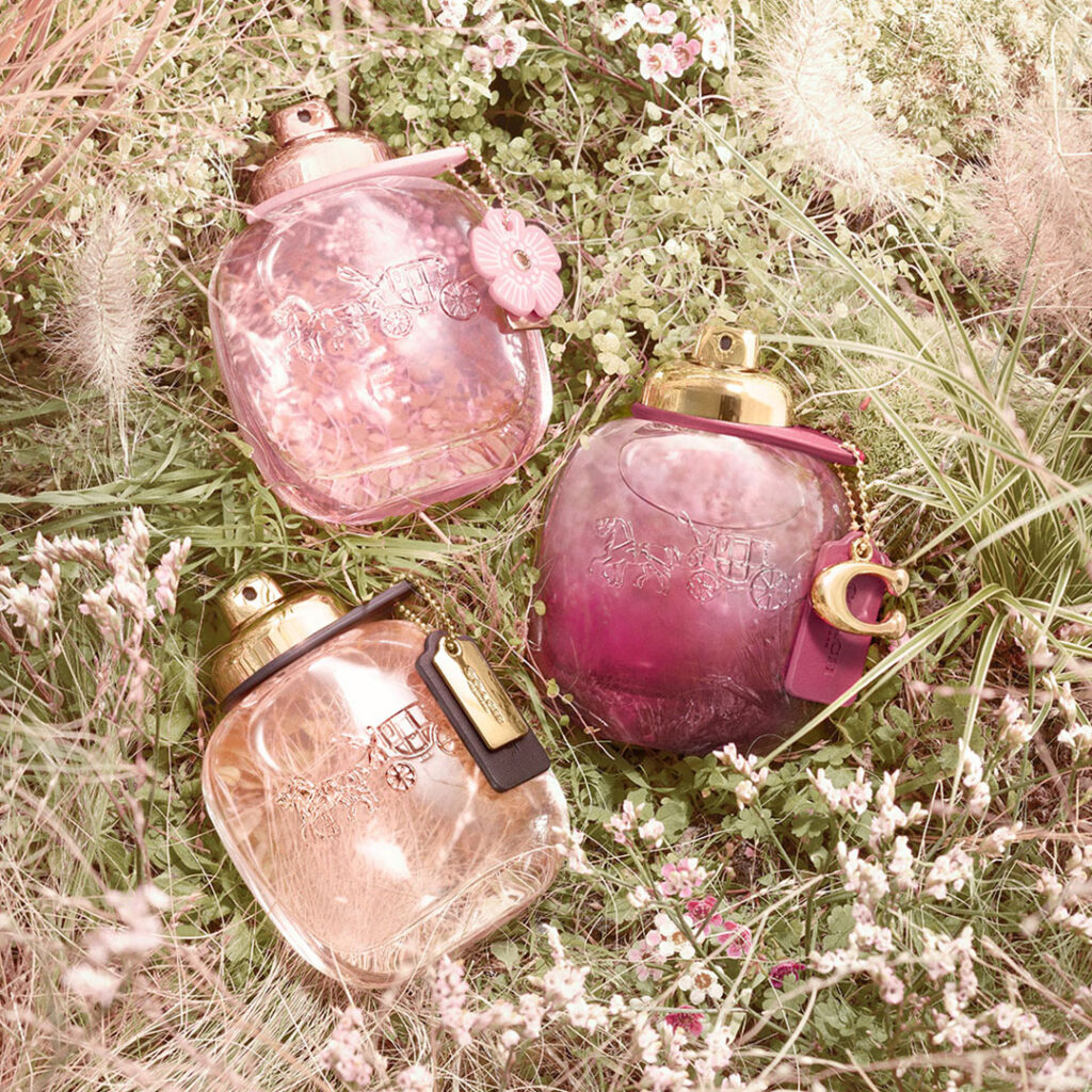 beauty and luxury - coach wild rose